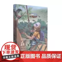 在树上:田野女生物学家的树冠探险 (美)玛格丽特·罗曼(Margaret D. Lowman) 著 科普读物其它生活 正