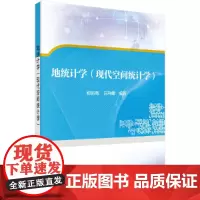 [正版书籍]地统计学(空间统计分析)
