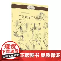 [正版书籍]西方绘画技法经典教程·手足素描与人体解剖