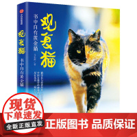 [正版书籍]观复猫:书中自有黄金猫