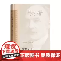 [正版书籍]枉费心机(哈代文集6)