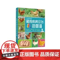 [正版书籍]蛋鸡疾病诊治彩色图谱
