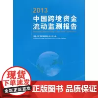 [正版书籍]2013中国跨境资金流动监测报告