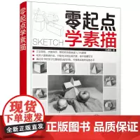 [正版书籍]零起点学素描