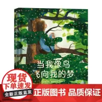[正版书籍]当我像鸟飞向我的梦 一本触动你心灵影响你人生的书