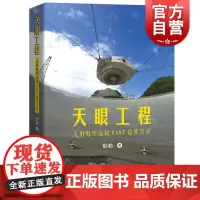 天眼工程:大射电望远镜FAST追梦实录 彭勃科技科普知识读本上海科技教育出版社 大科学工程