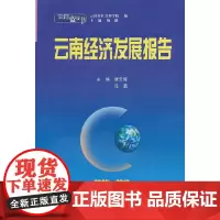 [正版书籍]云南蓝皮书·2009~2010 云南经济发展报告