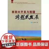 [正版书籍]西部大开发与新疆跨越式发展