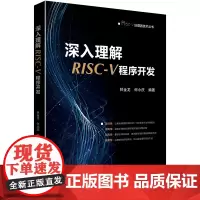 [正版书籍]深入理解RISC-V程序开发