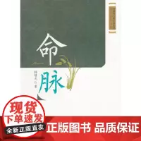[正版书籍]命脉