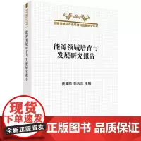 [正版书籍]能源领域培育与发展研究报告