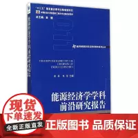 [正版书籍]能源经济学学科前沿研究报告