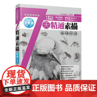 [正版书籍]7天精通素描:基础入门