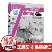 [正版书籍]7天精通素描:基础入门