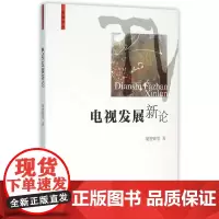 [正版书籍]电视发展新论