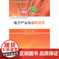 [正版书籍]电子产业与循环经济-第二产业与循环经济丛书(“十一五”国家重点图书出版规划项目)