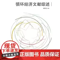 [正版书籍]循环经济 文献综述