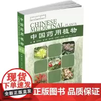 [正版书籍]中国药用植物.十七