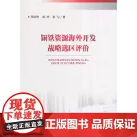[正版书籍]铜铁资源海外开发战略选区评价