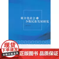 [正版书籍]媒介化社会与少数民族发展研究