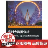 [正版书籍]实时大数据分析——基于Storm、Spark技术的实时应用