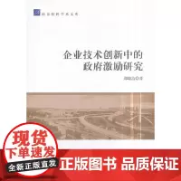 [正版书籍]企业技术创新中的政府激励研究