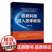 [正版书籍]政府科技投入效率研究