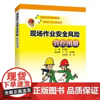 [正版书籍]现场作业安全风险管控图册