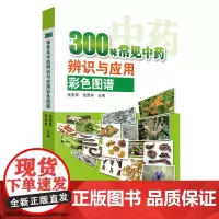[正版书籍]300味常见中药识别与应用彩色图谱