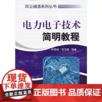 电力电子技术简明教程