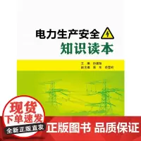 [正版书籍]电力生产安全知识读本