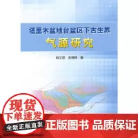 [正版书籍]塔里木盆地台盆区下古生界气源研究
