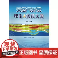 天然气开发理论与实践文集(第一辑)
