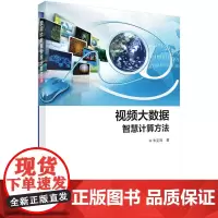 [正版书籍]视频大数据智慧计算方法