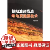 [正版书籍]精细油藏描述与地质建模技术