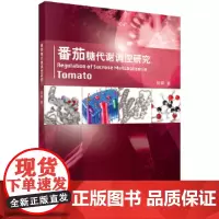 [正版书籍]番茄糖代谢调控研究