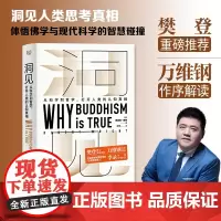 [正版书籍]洞见(2020年度读者“十大影响力好书”、入选豆瓣年度书单,北京书评。《为什么佛学是真的》中文版)