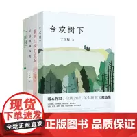 [正版书籍]丁立梅散文精选集 套装4册 中考语文阅读热点作家 立足三年中考作文真题 可作为中高考作文范文 现代文阅读真题