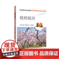 [正版书籍]桃树栽培——农民技能提升培训系列教材