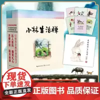 小林漫画:小林生活禅[当当限量签名本 赠印章版精美海报]全二册套装 国民漫画家小林 随书贴纸 漫画张张逗趣 文字句句