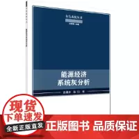 [正版书籍]能源经济系统灰分析