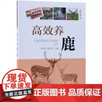 高效养鹿(双色印刷)/高效养殖致富直通车