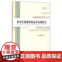[正版书籍]非再生能源资源定价机制研究