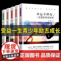 [正版书籍]努力过的人生,终会闪亮 全5册
