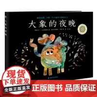 [正版书籍]大象的夜晚(奇想国童书)本书献给怕黑、不敢一个人睡的小孩和大人