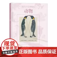 我的手绘博物馆 动物 6岁以上自然科普动物百科 浪花朵朵童书 法国童书出版人联手专业科学插画家打造献给孩子的手绘博物馆