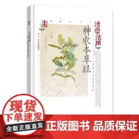 [正版书籍]活学活用神农本草经