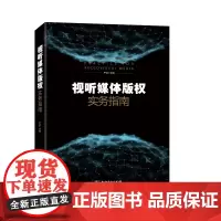 [正版书籍]视听媒体版权实务指南