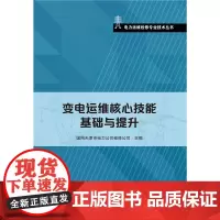 变电运维核心技能基础与提升(电力运维检修专业技术丛书)
