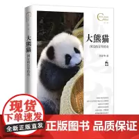 中国人文标识系列:大熊猫,国宝的百年传奇